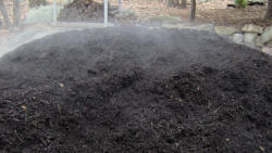 Steaming mulch pile