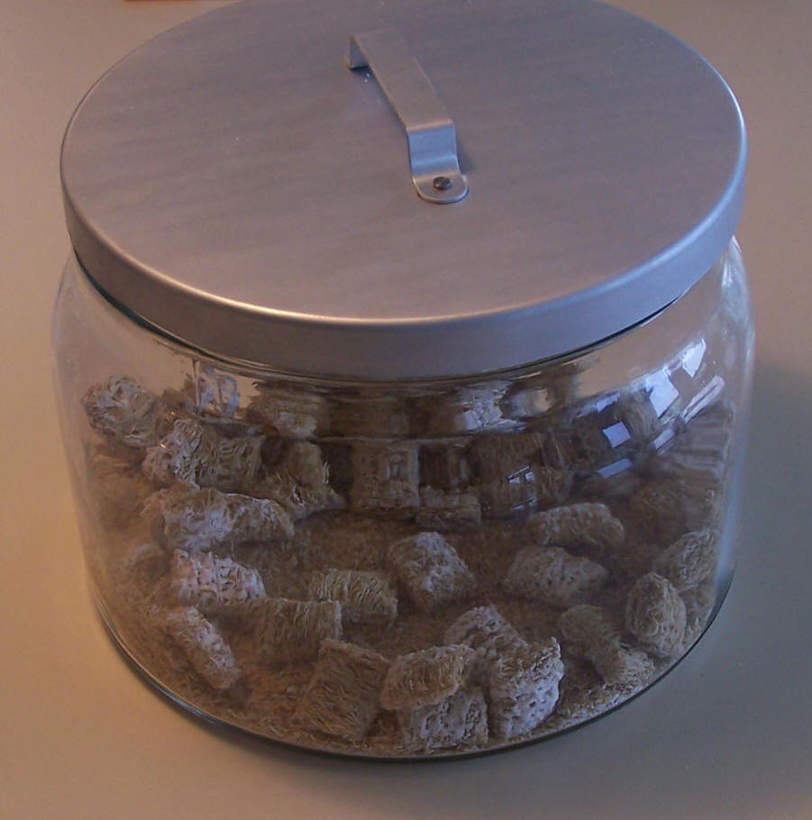 Jar of bite-size Shredded Wheats