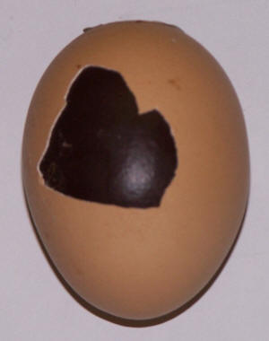 Chocolate egg with chocolate exposed through broken shell