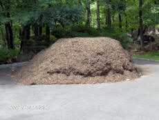 Heap of mulch as of 02 July 2007.  No changes were made between the photo and the measurement.