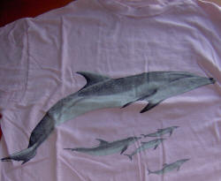 Dolphin T-shirt, possibly from Earthtrust