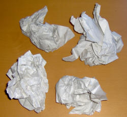 The Four Wasted Wads - tissue paper in the sneakers